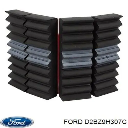 D2BZ9H307C Ford 