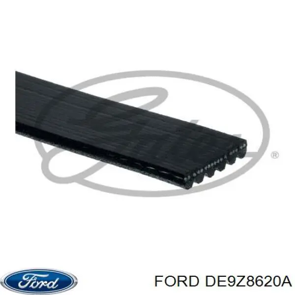 Купити DE9Z8620A Ford Ремінь генератора