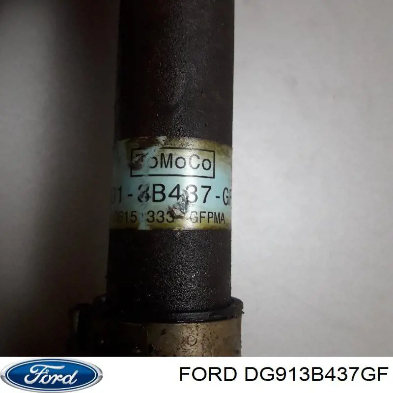 DG913B437GF Ford