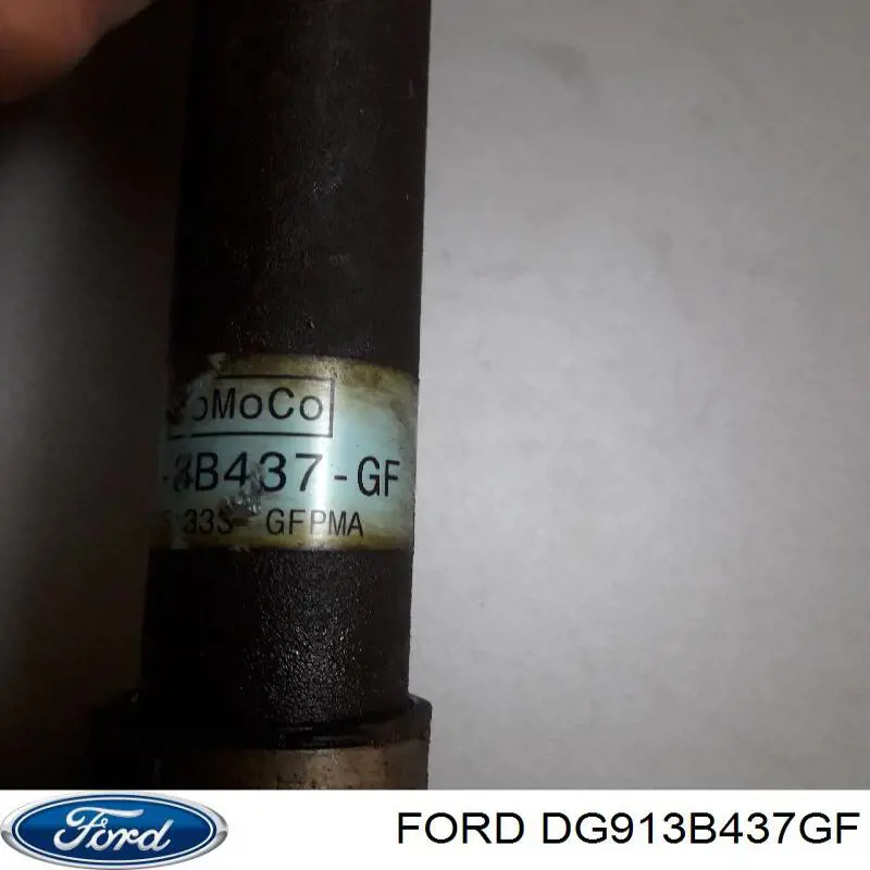 DG913B437GF Ford 