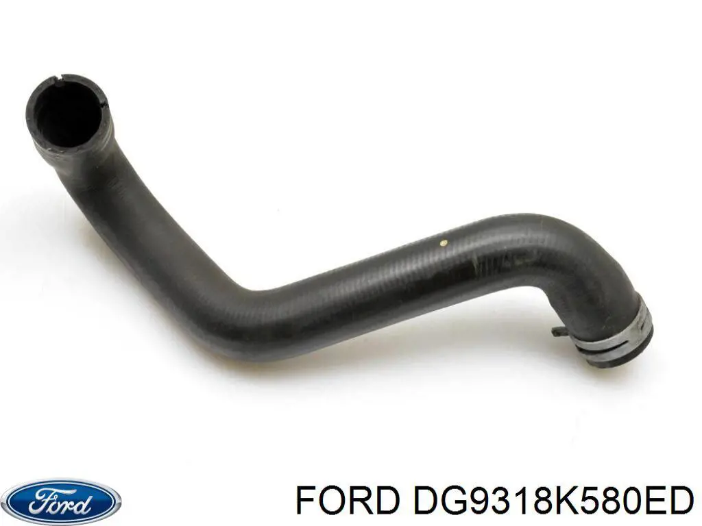 5306916 Ford 