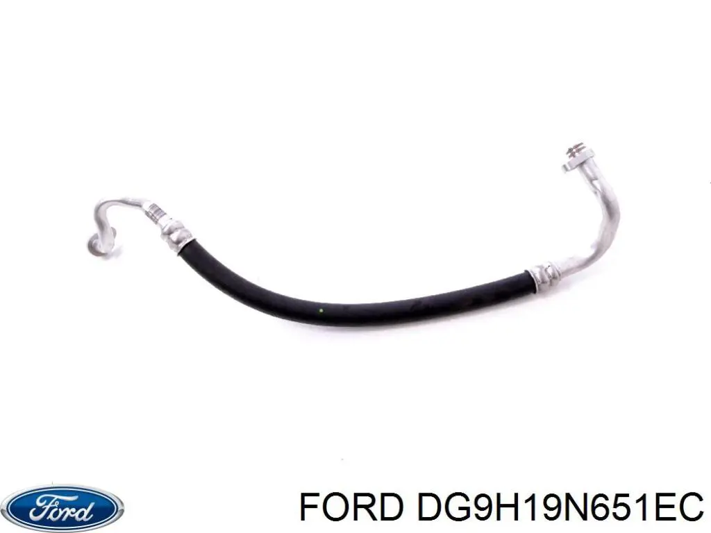 Купити DG9H19N651EC Ford 