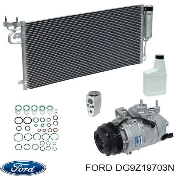  DG9Z19703B Ford