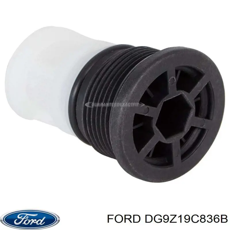  Ford DG9Z19C836B ціна, від 63.49 USD