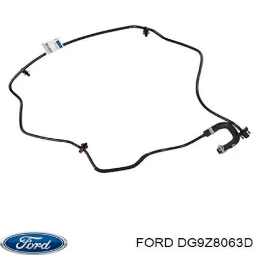 DG9Z8063D Ford 