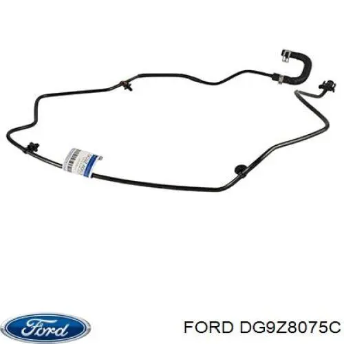 DG9Z8075C Ford 