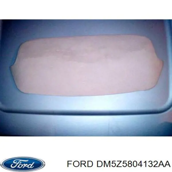 DM5Z5804132AA Ford 