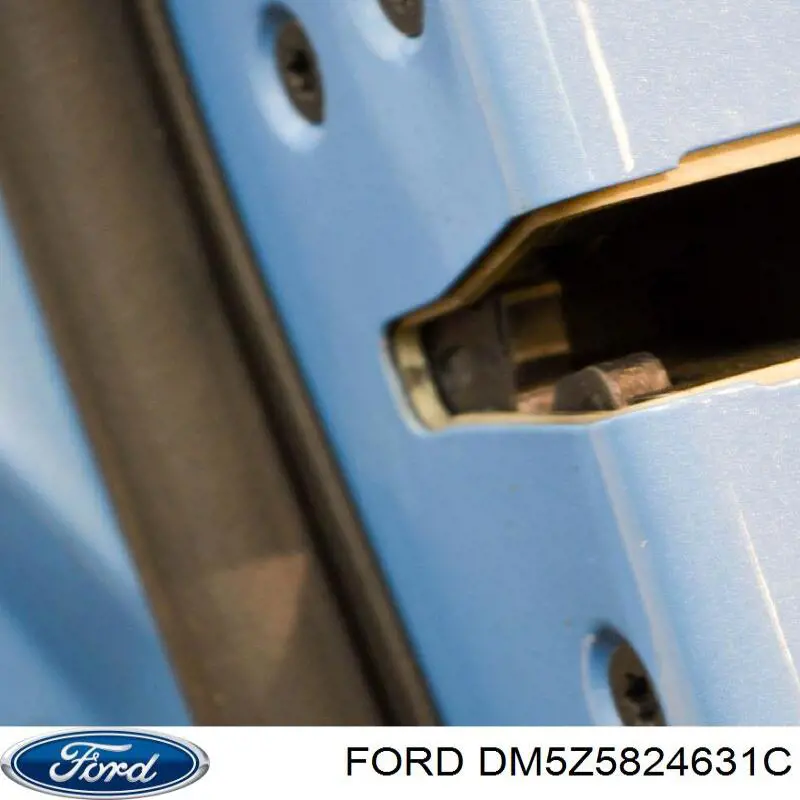 Купити DM5Z5824631A Ford Двері задні, ліві