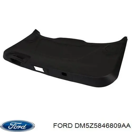 DM5Z5846809AA Ford 