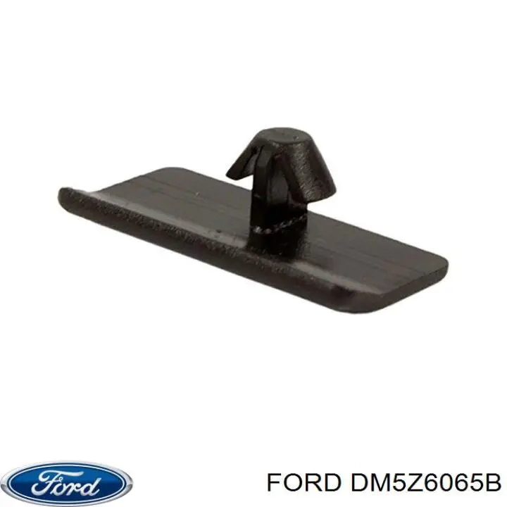  Ford DM5Z6065B ціна, від 2.82 USD