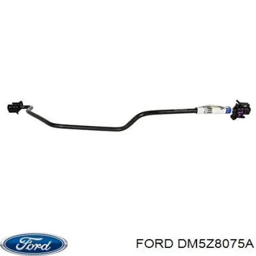 DM5Z8075A Ford Шланг розширювального бачка, верхній