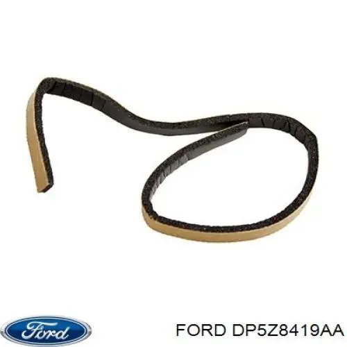 DP5Z8419AA Ford 