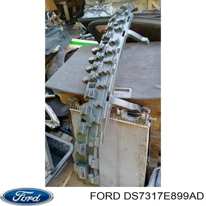 DS7317E899AD Ford 