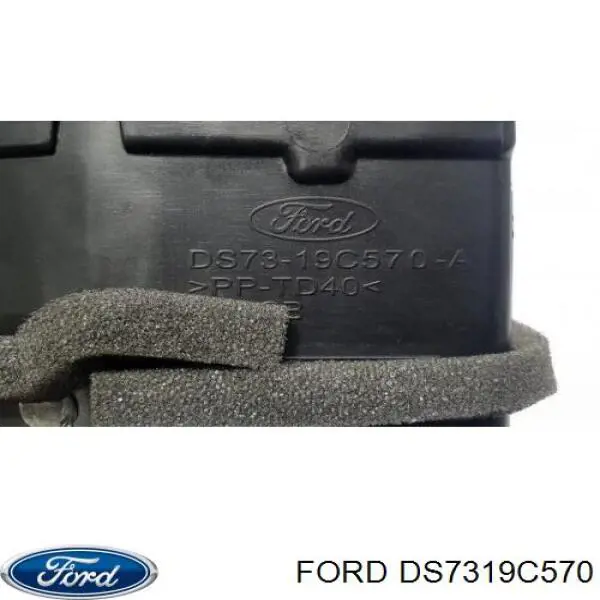 Ford DS7319C570