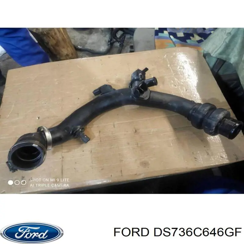 DS736C646GF Ford 