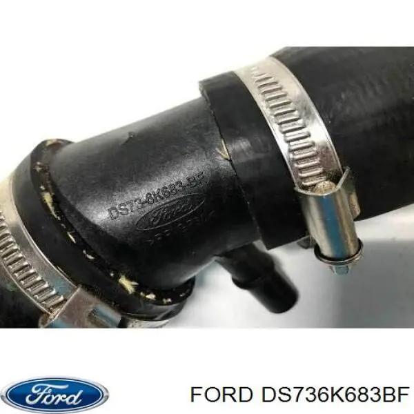 DS736K683BF Ford 
