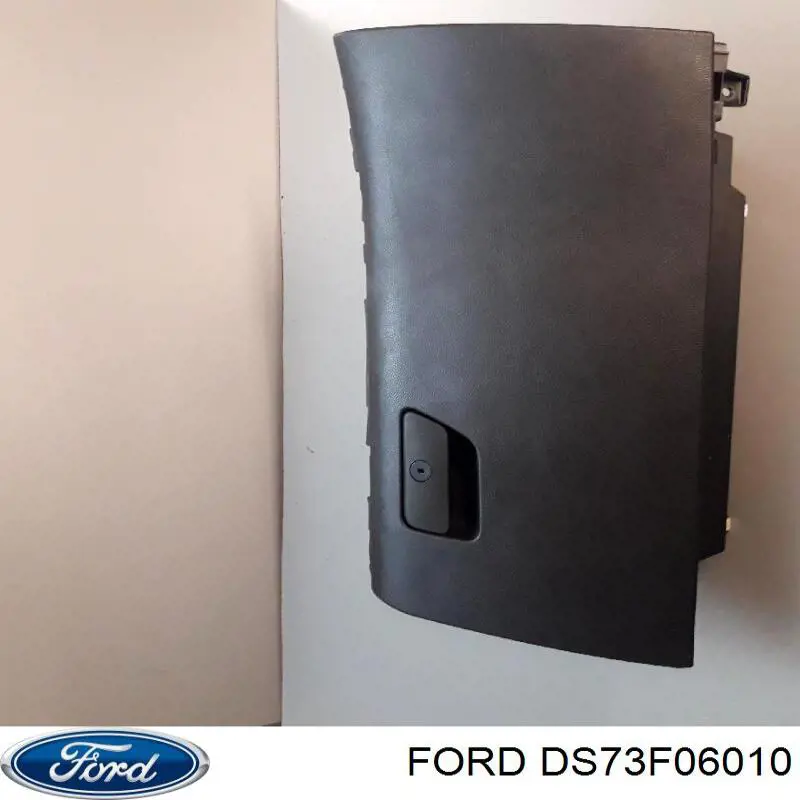 DS73F06010 Ford 