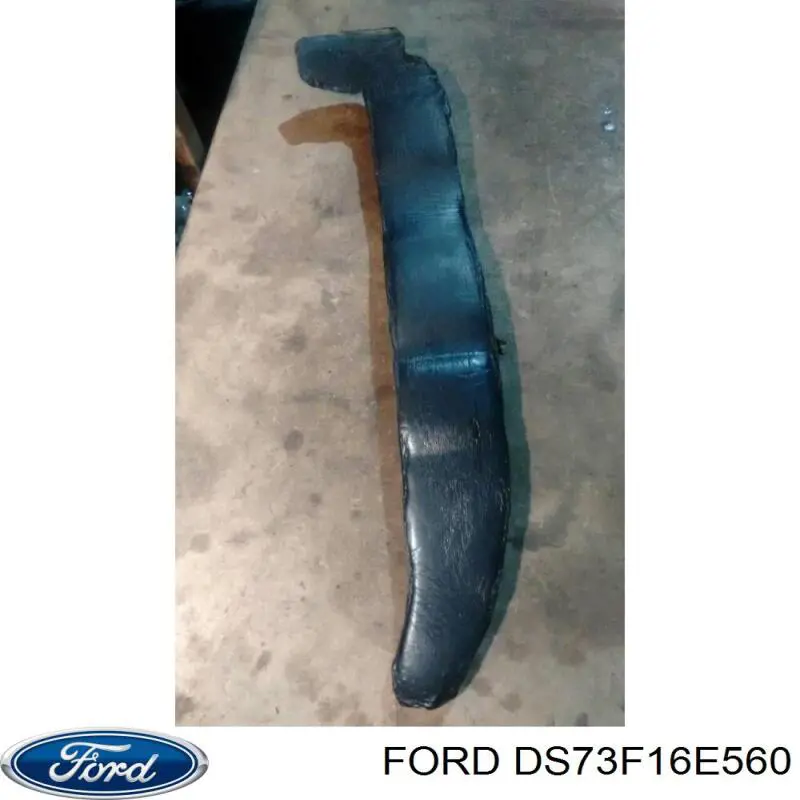 DS73F16E560 Ford 