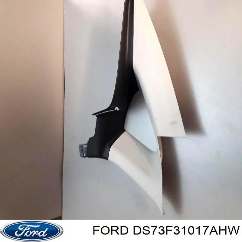DS73F31017AHW Ford 