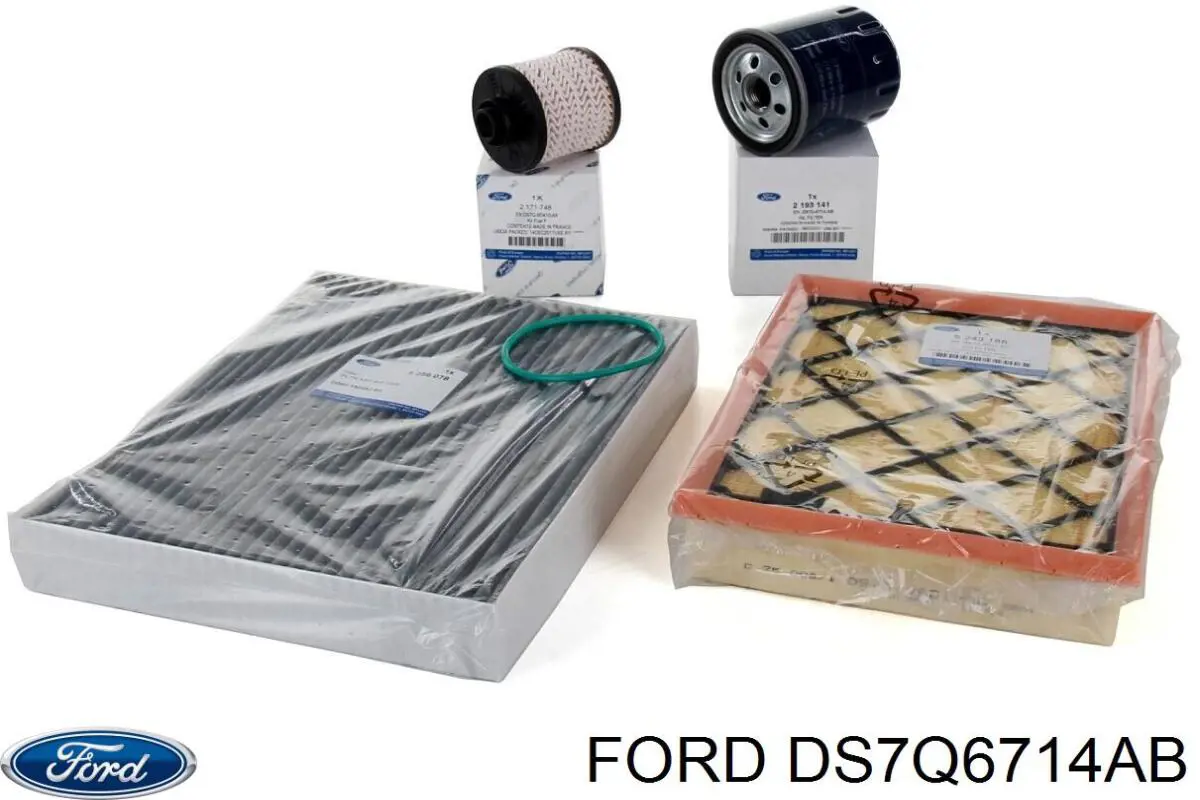 Купити DS7Q6714AB Ford Фільтр очищення масла відцентровий