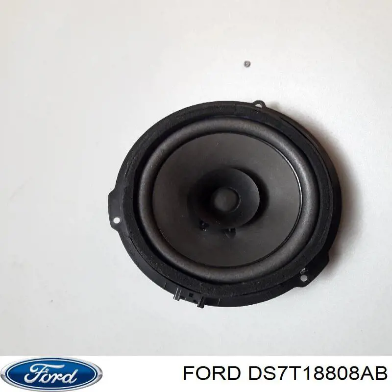 DS7T18808AB Ford 