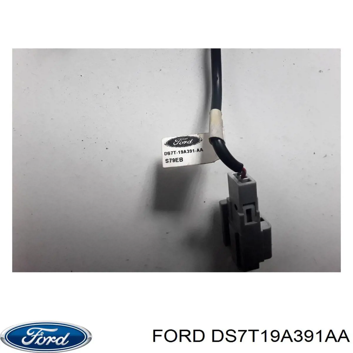  DS7T19A391AA Ford