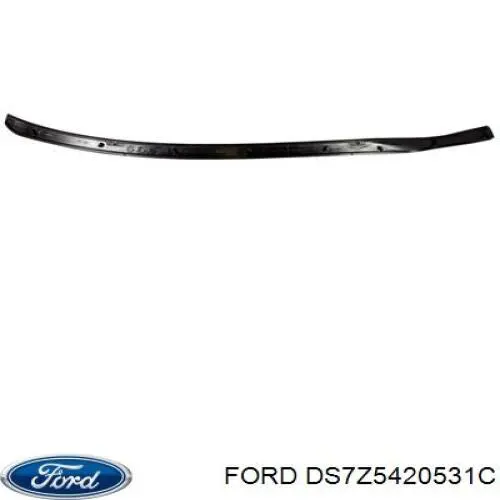 Купити DS7Z5420531A Ford 