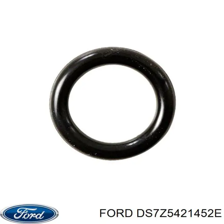 DS7Z5421452E Ford Ущільнювач скла передніх дверей правої, зовнішній (планка)