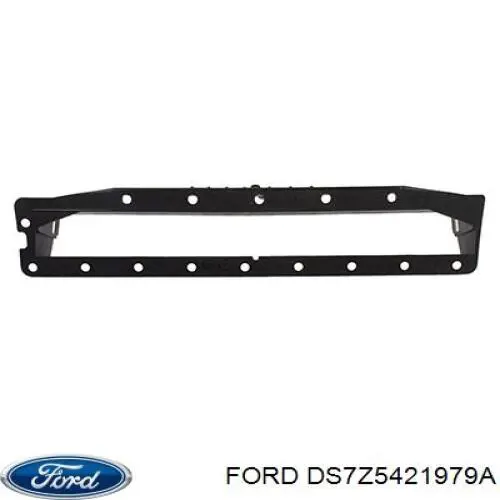 DS7Z5421979A Ford 