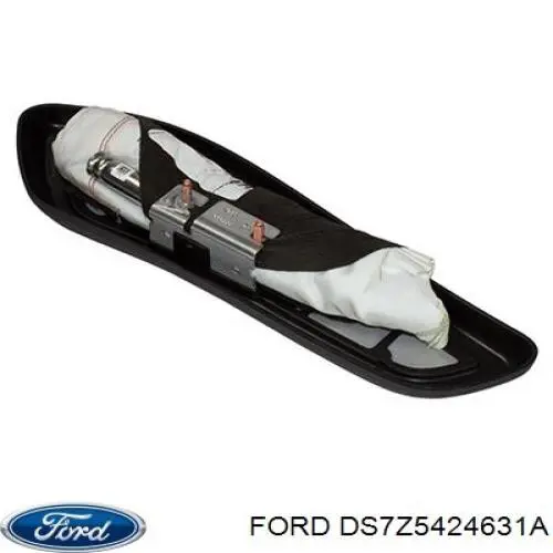 Двері пасажирськи задні ліві на Ford Fusion  CD