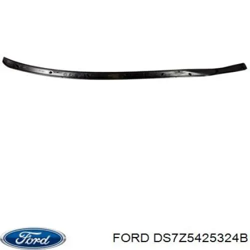 DS7Z5425324B Ford Ущільнювач дверей задніх, правих (на двері)