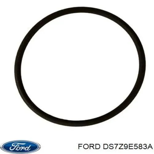 DS7Z9E583A Ford Прокладка паливного насосу ПНВТ
