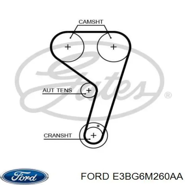Комплект ГРМ E3BG6M260AA Ford