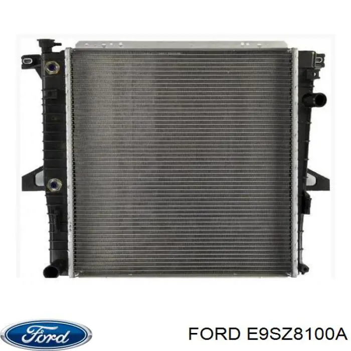 E9SZ8100A Ford кришка/пробка радіатора