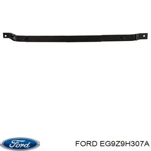 PFS1066 Ford Електробензонасос