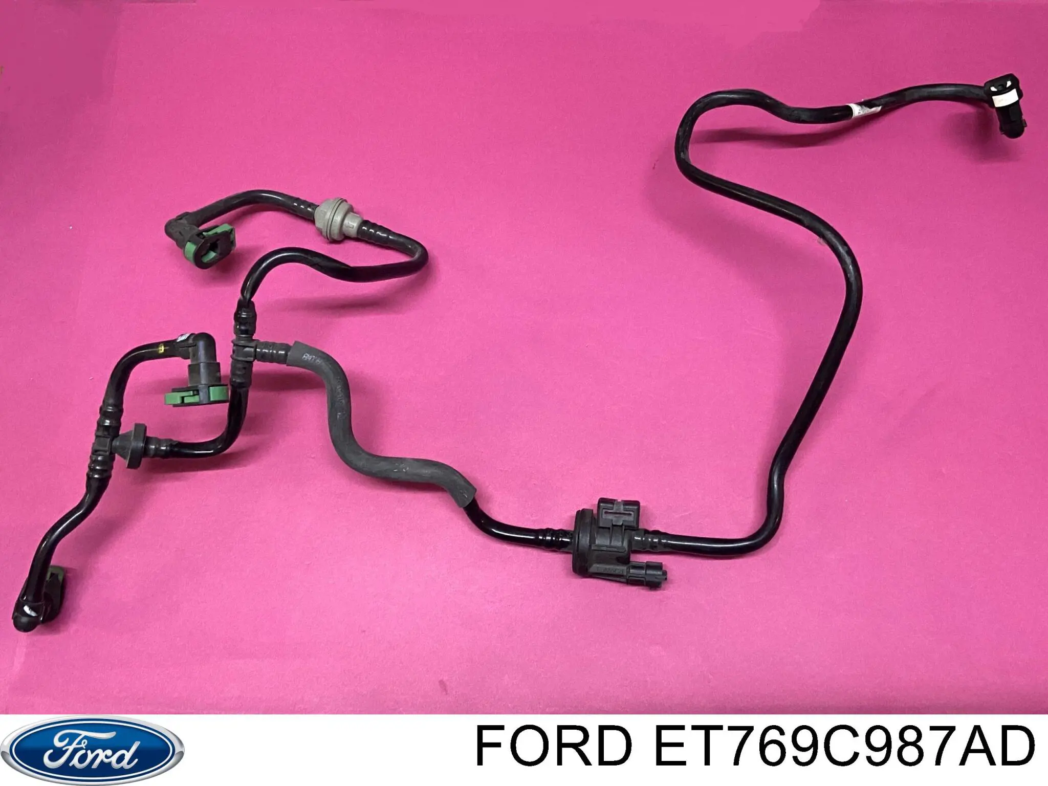 2238934 Ford Система управління парами палива