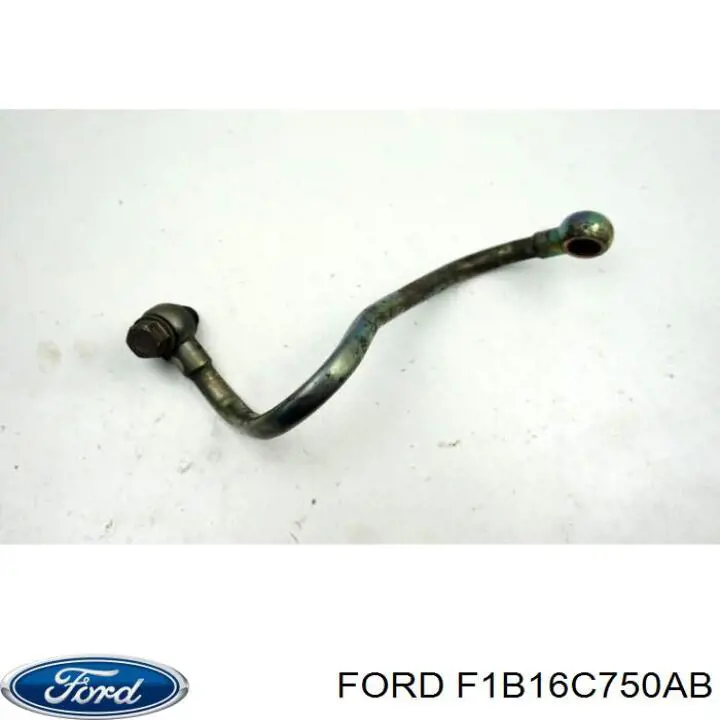 Купити F1B16C750AB Ford Шланг/патрубок интеркуллера