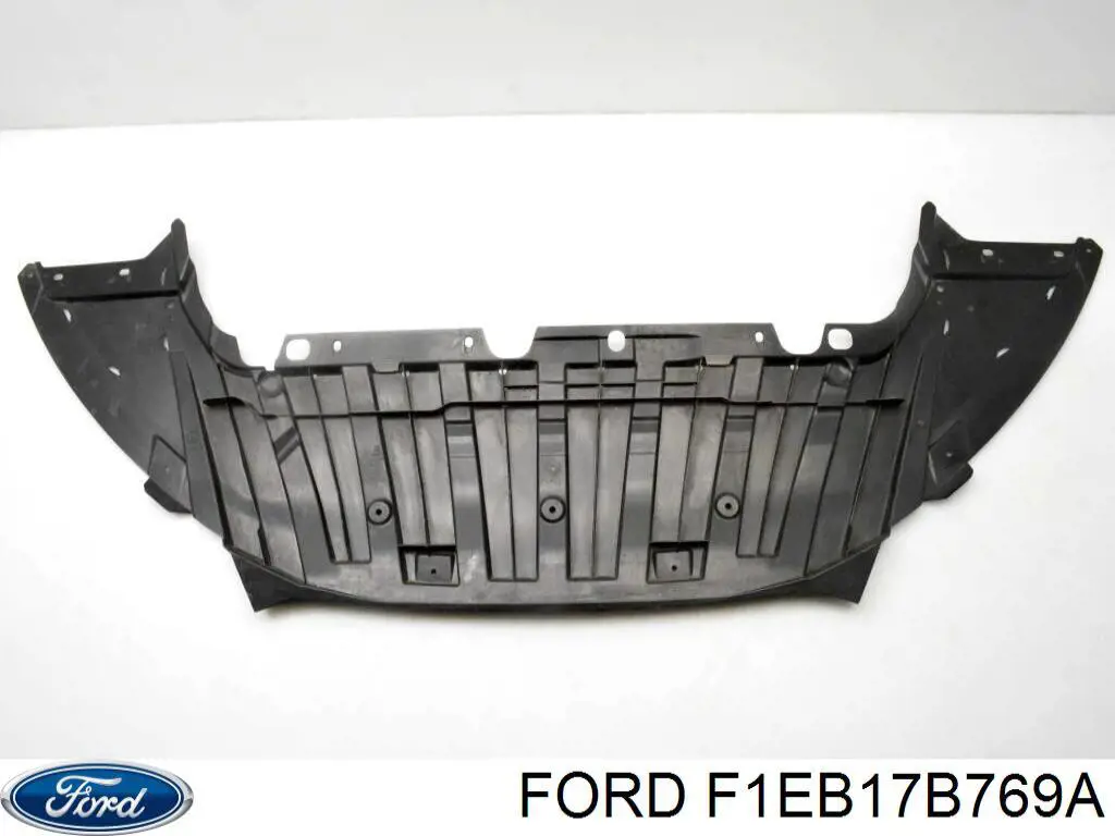 Купити F1EB17B769AA Ford Аеродинамічні обважування