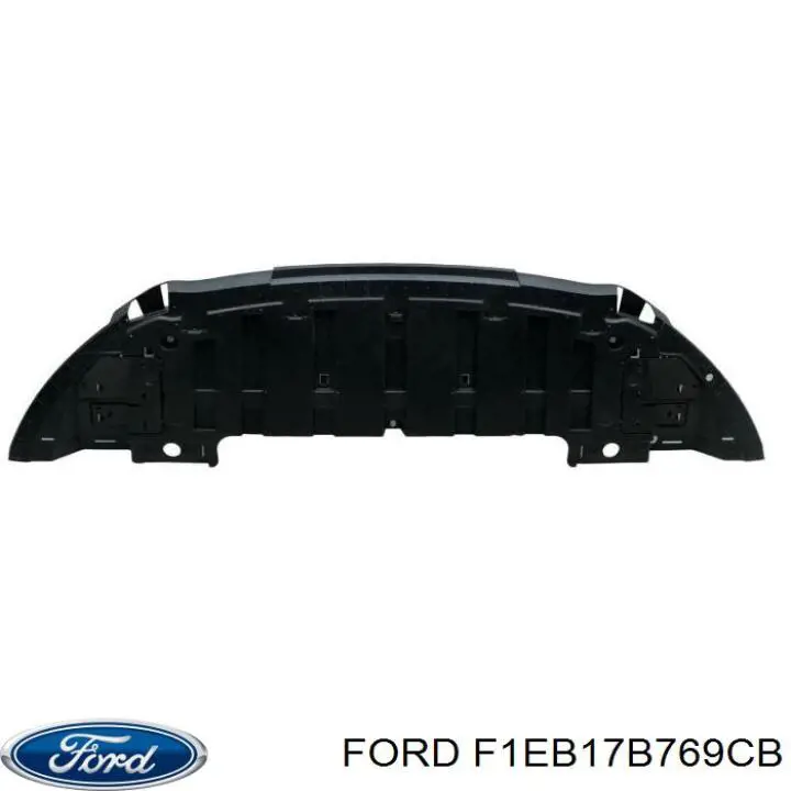  F1EB17B769CB Ford