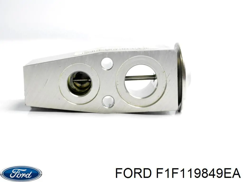  F1F119849EA Ford