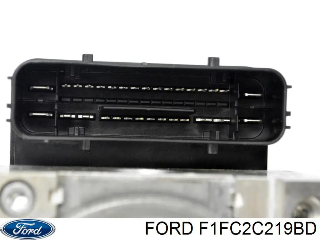 F1FC2C219BD Ford 