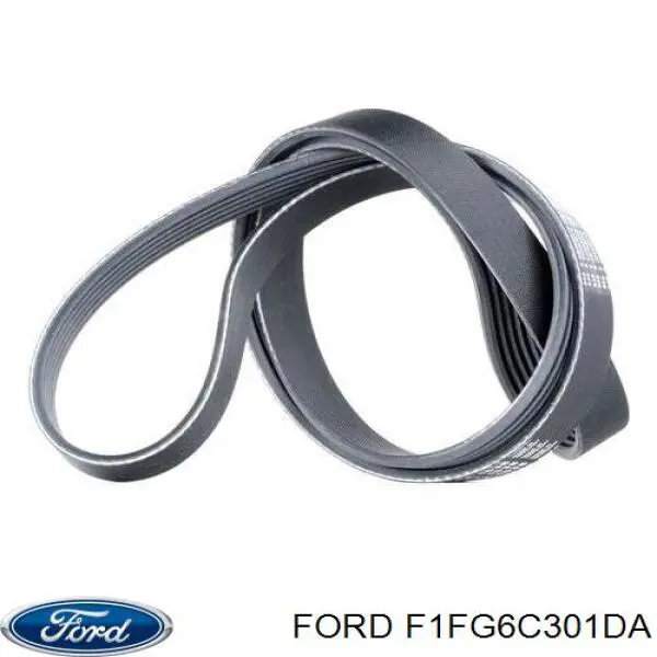 Купити F1FG6C301DA Ford Ремінь генератора