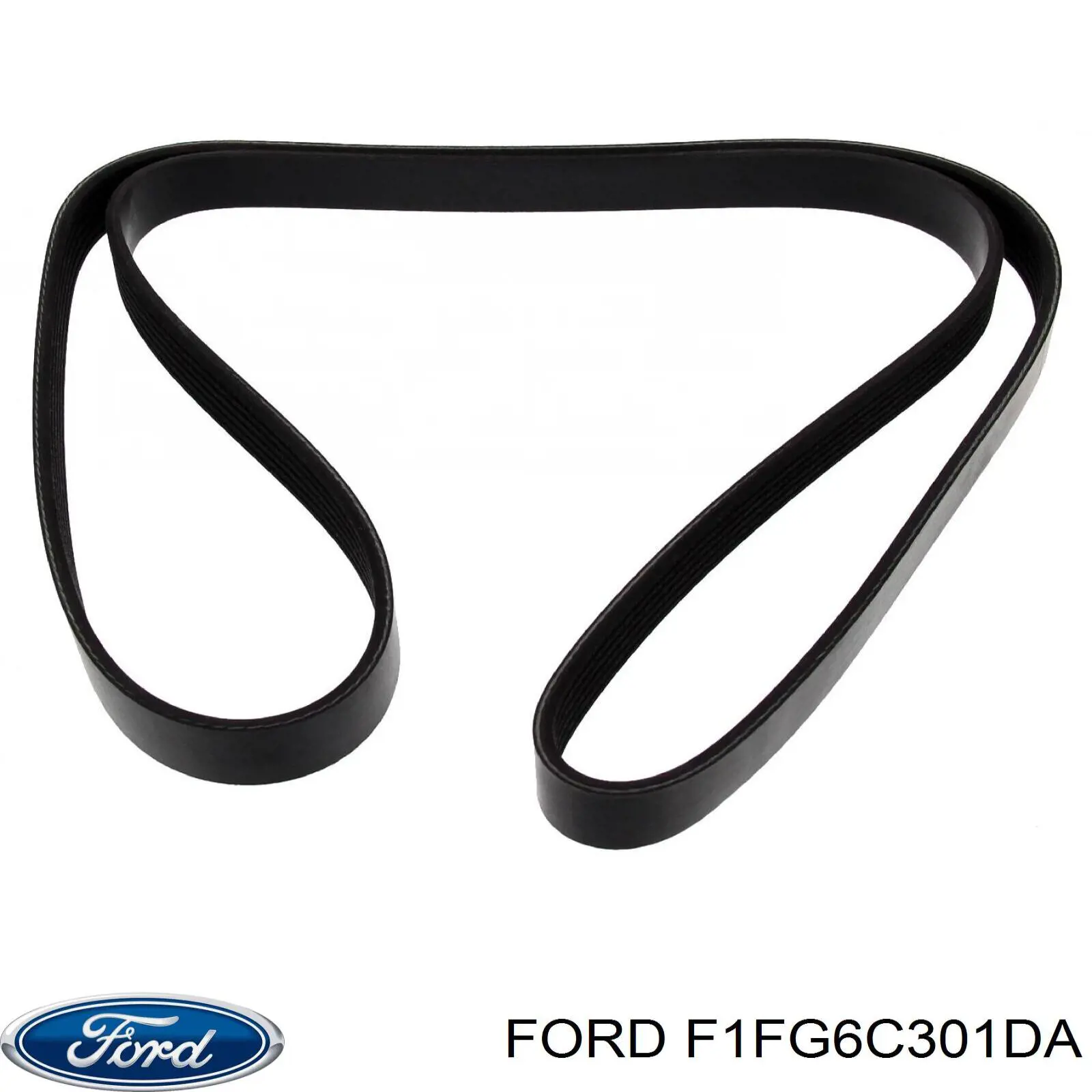 Ремінь генератора F1FG6C301DA Ford