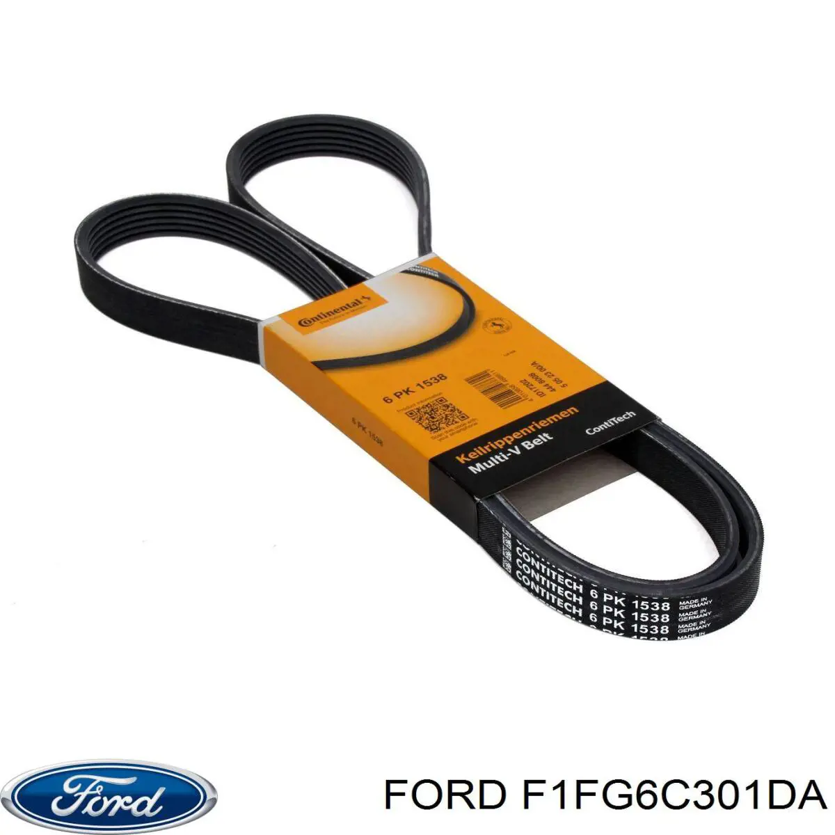  F1FG6C301DA Ford