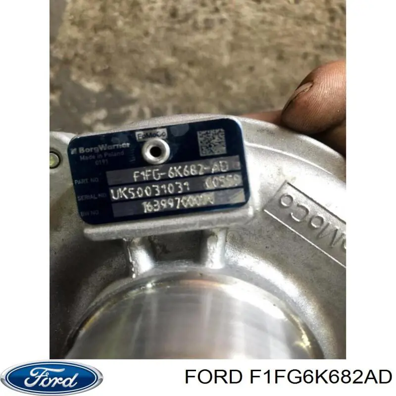  F1FG6K682AD Ford