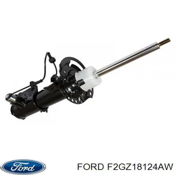  F2GZ18124AW Ford