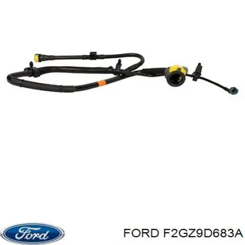 F2GZ9D683A Ford 