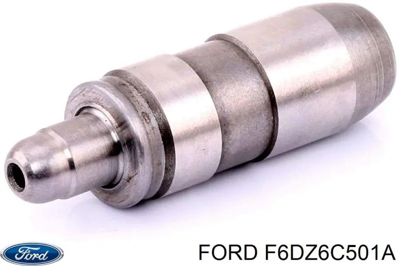  F6DZ6C501A Ford