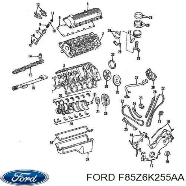 F85Z6K255AA Ford Башмак натягувача ланцюга ГРМ