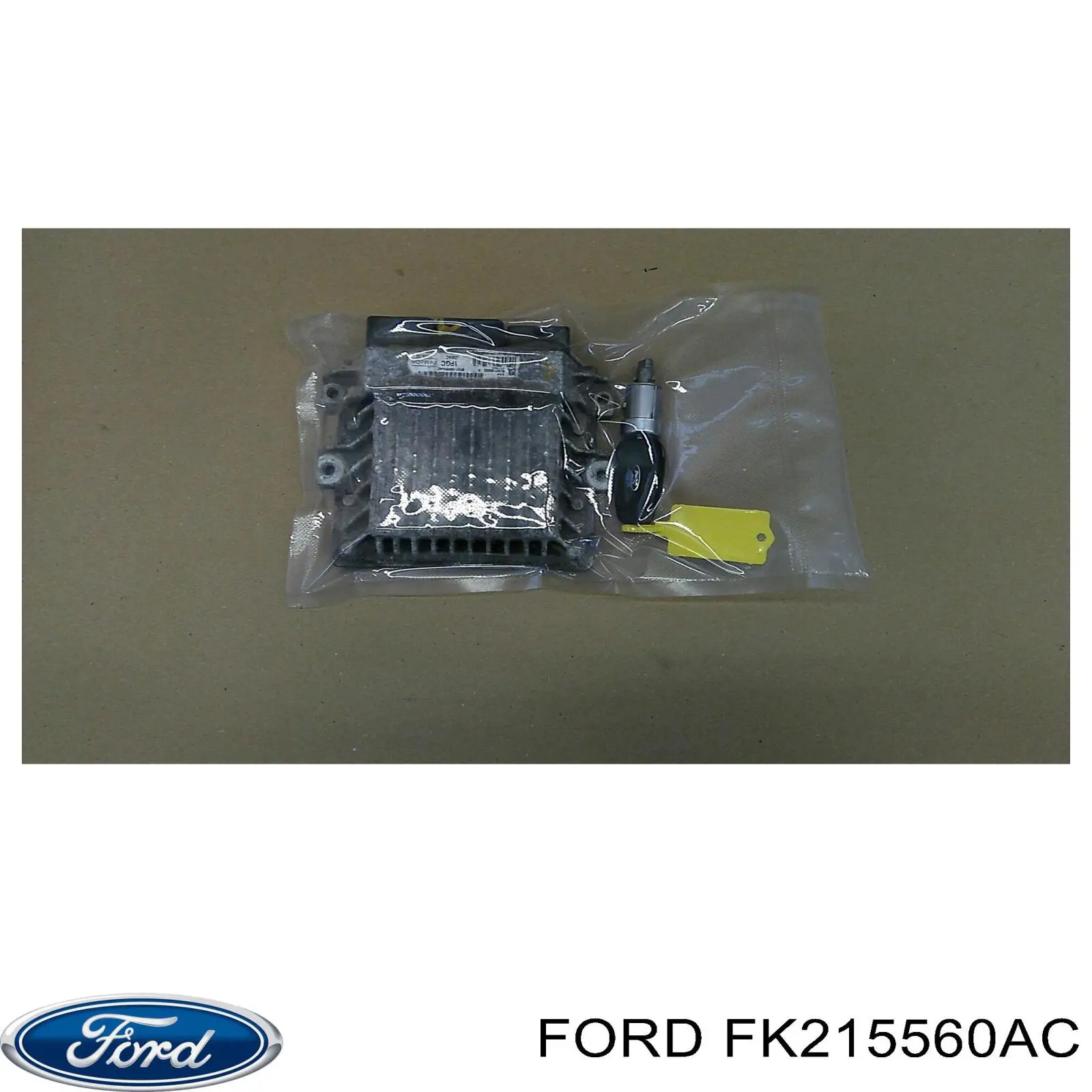 FK215560AC Ford Ресора (задня)